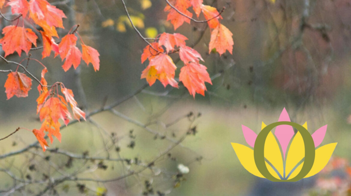 Oakland Health Newsletter – 3rd Quarter of 2024